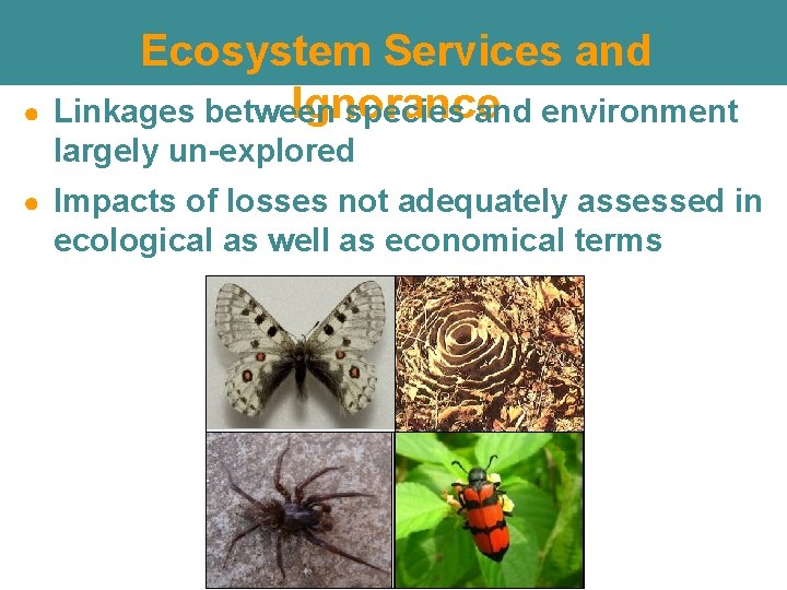 ● Ecosystem Services and Ignorance Linkages between species and environment largely un-explored ● Impacts ● Ecosystem Services and Ignorance Linkages between species and environment largely un-explored ● Impacts