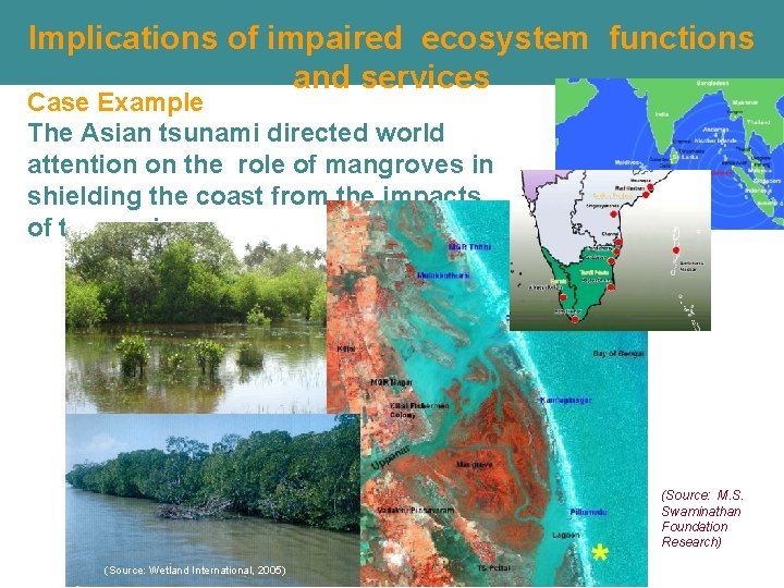 Implications of impaired ecosystem functions and services Case Example The Asian tsunami directed world Implications of impaired ecosystem functions and services Case Example The Asian tsunami directed world
