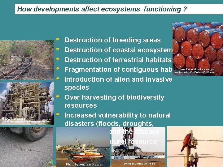 How developments affect ecosystems functioning ? • • • http: //www. chemicalstechnology. com/projects/sabicandmaaden/ • How developments affect ecosystems functioning ? • • • http: //www. chemicalstechnology. com/projects/sabicandmaaden/ •