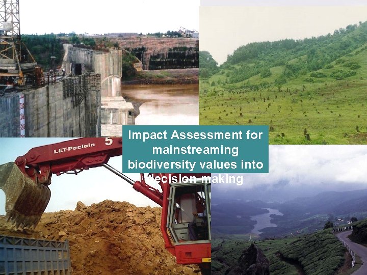 Impact Assessment for mainstreaming biodiversity values into decision-making Impact Assessment for mainstreaming biodiversity values into decision-making