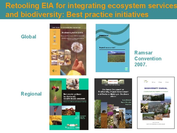 Retooling EIA for integrating ecosystem services and biodiversity: Best practice initiatives Global Ramsar Convention Retooling EIA for integrating ecosystem services and biodiversity: Best practice initiatives Global Ramsar Convention