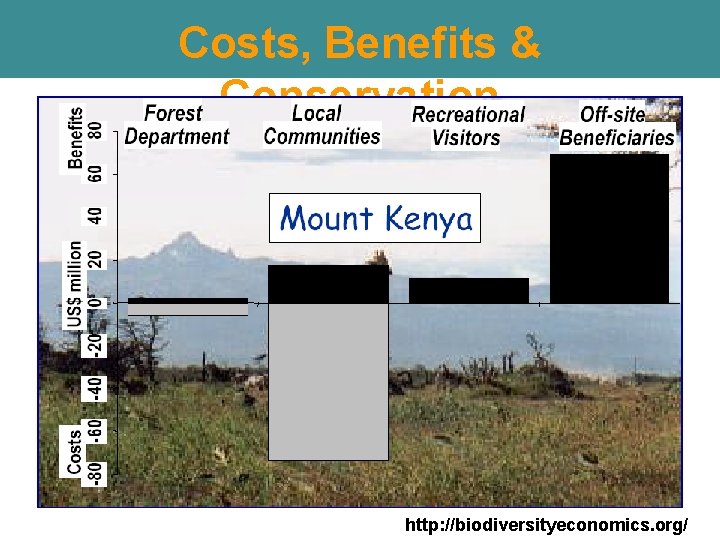 Costs, Benefits & Conservation http: //biodiversityeconomics. org/ Costs, Benefits & Conservation http: //biodiversityeconomics. org/