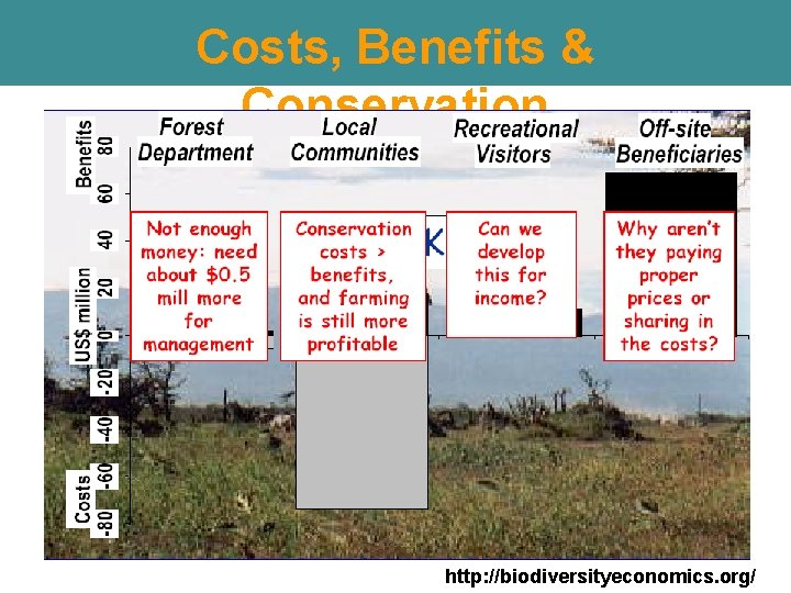 Costs, Benefits & Conservation http: //biodiversityeconomics. org/ Costs, Benefits & Conservation http: //biodiversityeconomics. org/