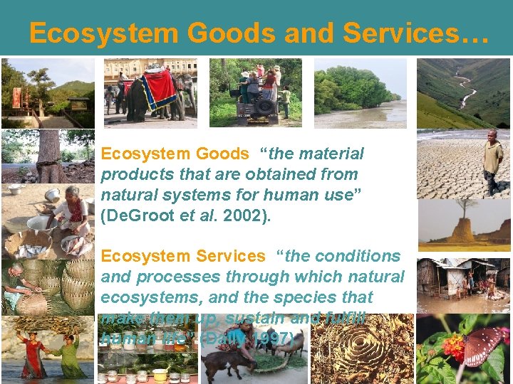 Ecosystem Goods and Services… Ecosystem Goods “the material products that are obtained from natural Ecosystem Goods and Services… Ecosystem Goods “the material products that are obtained from natural