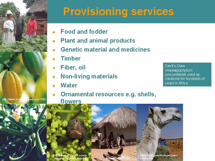 Provisioning services Food and fodder ● Plant and animal products ● ● ● ● Provisioning services Food and fodder ● Plant and animal products ● ● ● ●