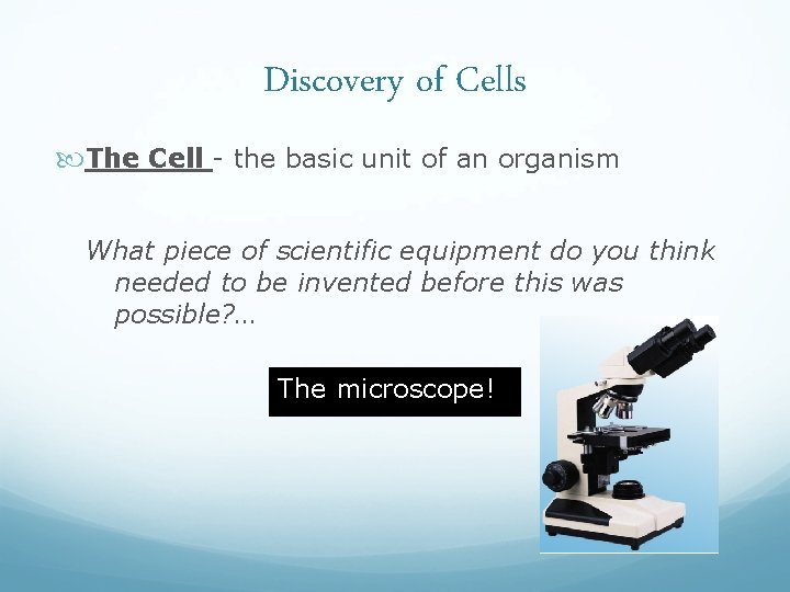 Discovery of Cells The Cell - the basic unit of an organism What piece