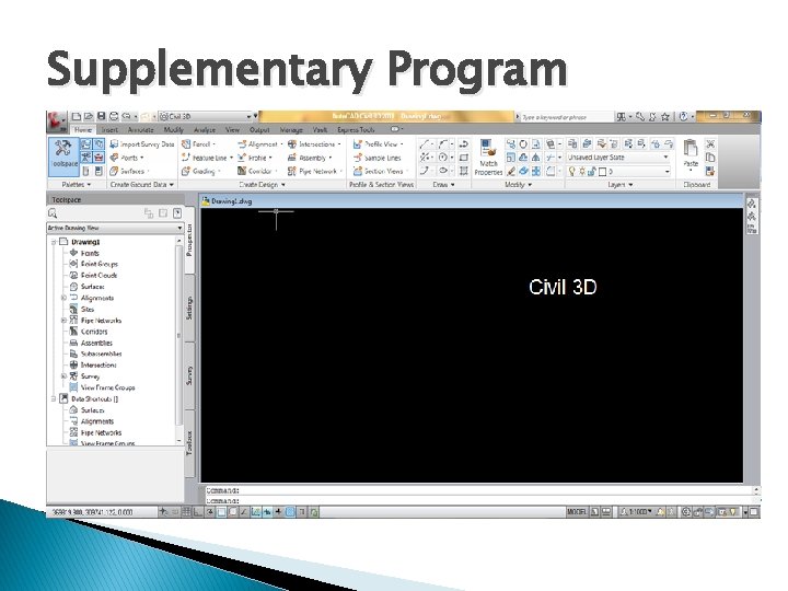 Supplementary Program Supplementary Program