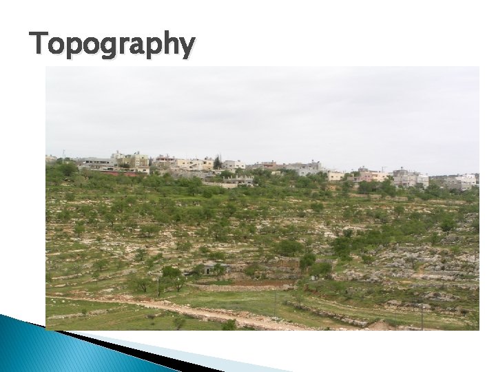 Topography Topography