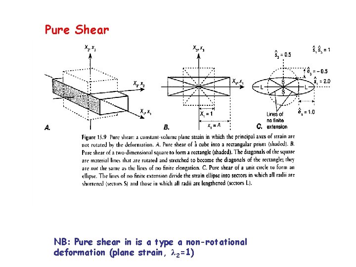 Pure Shear NB: Pure shear in is a type a non-rotational deformation (plane strain,