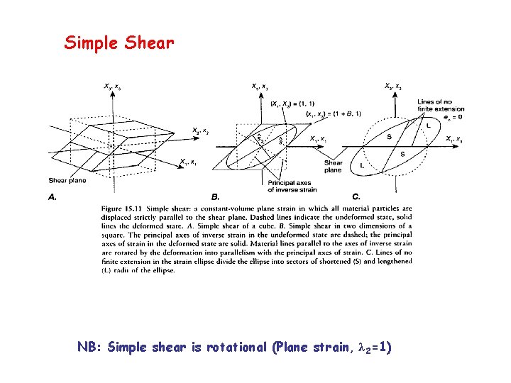 Simple Shear NB: Simple shear is rotational (Plane strain, λ 2=1) 