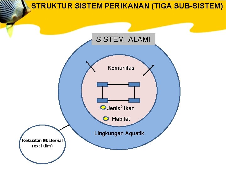 STRUKTUR SISTEM PERIKANAN (TIGA SUB-SISTEM) SISTEM ALAMI Komunitas Jenis 2 Ikan Habitat Lingkungan Aquatik