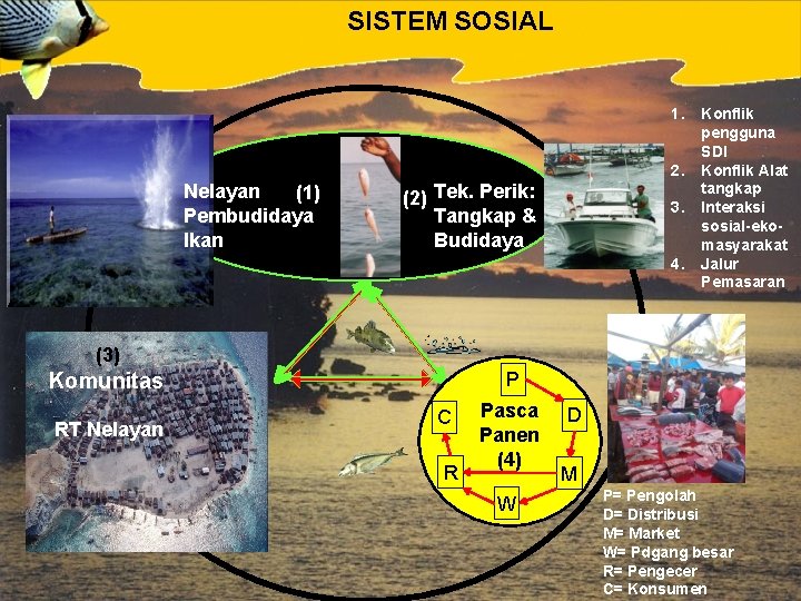 SISTEM SOSIAL 1. 2. Nelayan (1) Pembudidaya Ikan (2) Tek. Perik: Tangkap & Budidaya