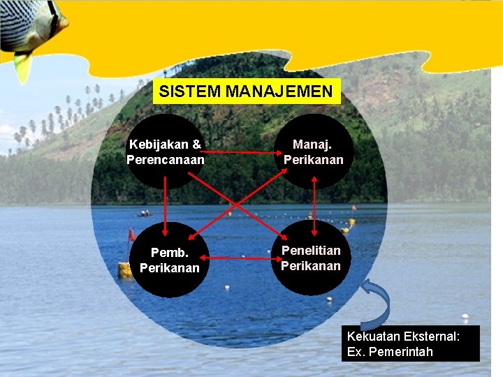 SISTEM MANAJEMEN Kebijakan & Perencanaan Pemb. Perikanan Manaj. Perikanan Penelitian Perikanan Kekuatan Eksternal: Ex.