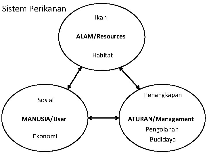 Sistem Perikanan Ikan ALAM/Resources Habitat Penangkapan Sosial MANUSIA/User Ekonomi ATURAN/Management Pengolahan Budidaya Wiadnya, Setyohadi