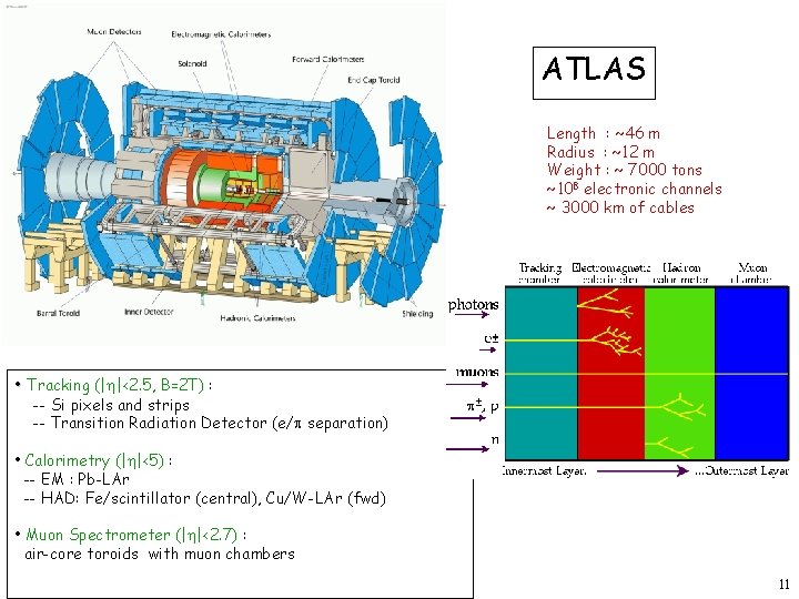 ATLAS Length : ~46 m Radius : ~12 m Weight : ~ 7000 tons