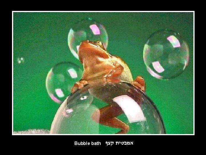 Bubble bath אמבטית קצף 