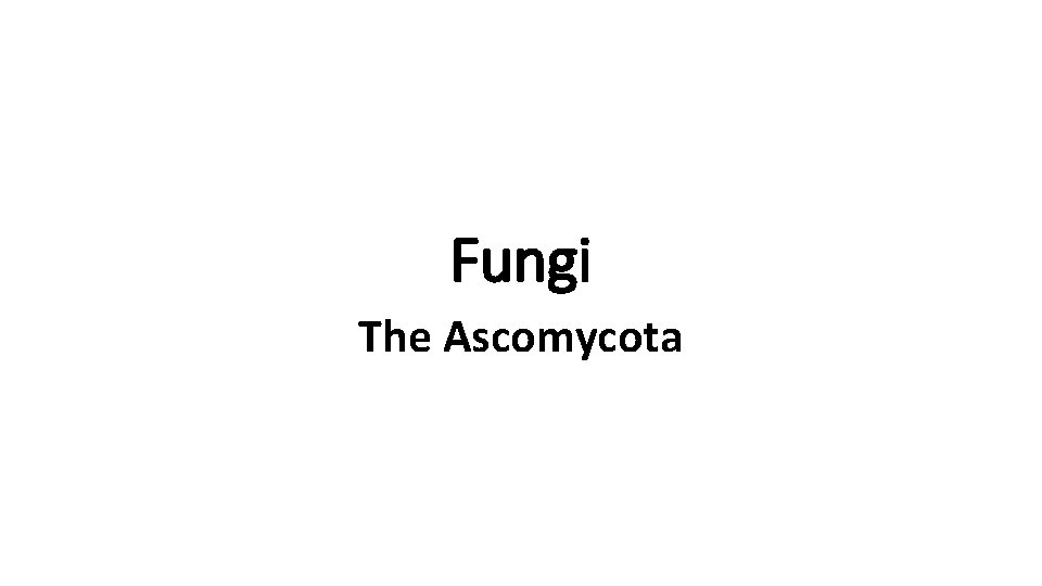 Fungi The Ascomycota 