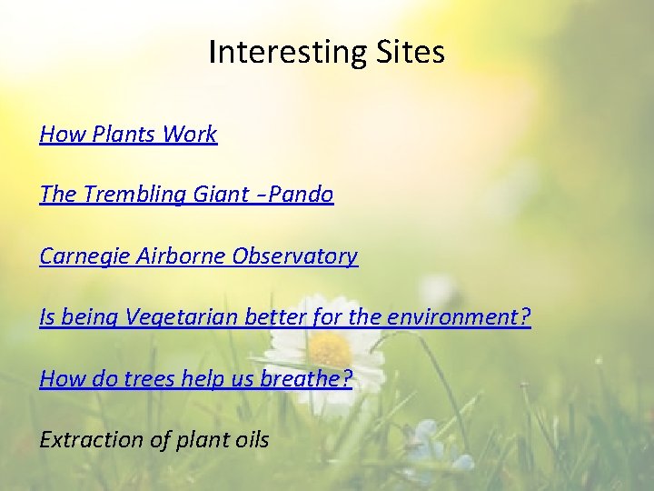 Interesting Sites How Plants Work The Trembling Giant – Pando Carnegie Airborne Observatory Is