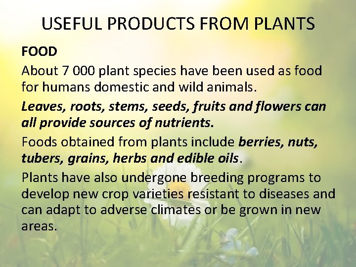 USEFUL PRODUCTS FROM PLANTS FOOD About 7 000 plant species have been used as