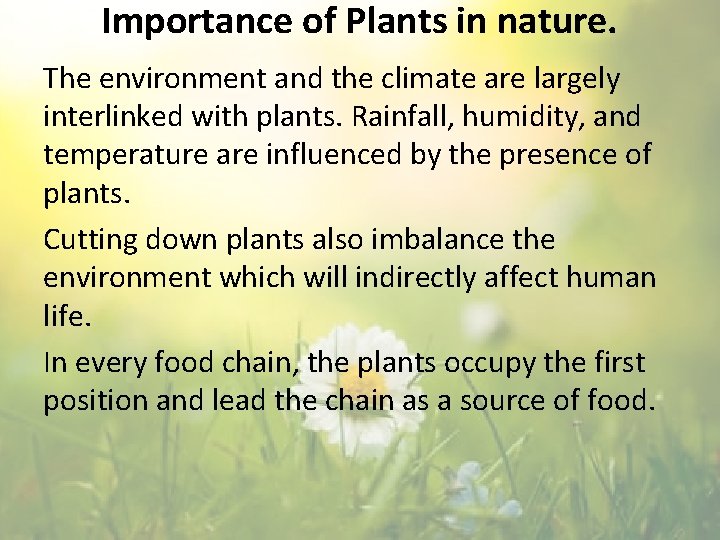 Importance of Plants in nature. The environment and the climate are largely interlinked with