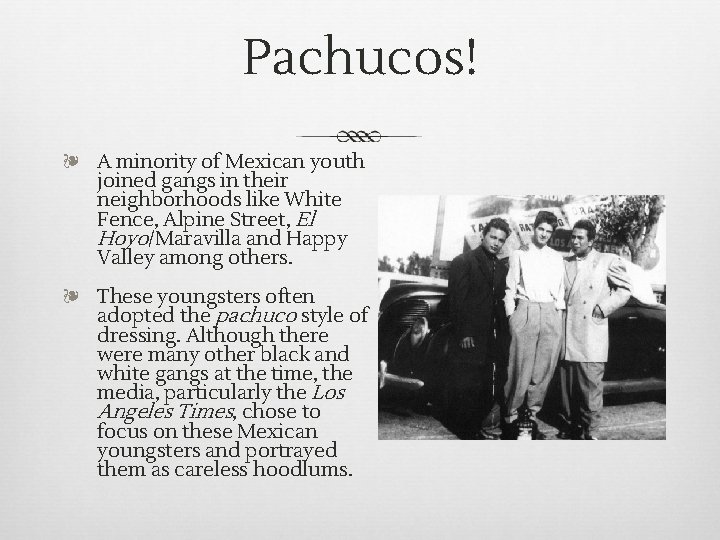 Pachucos! ❧ A minority of Mexican youth joined gangs in their neighborhoods like White Pachucos! ❧ A minority of Mexican youth joined gangs in their neighborhoods like White