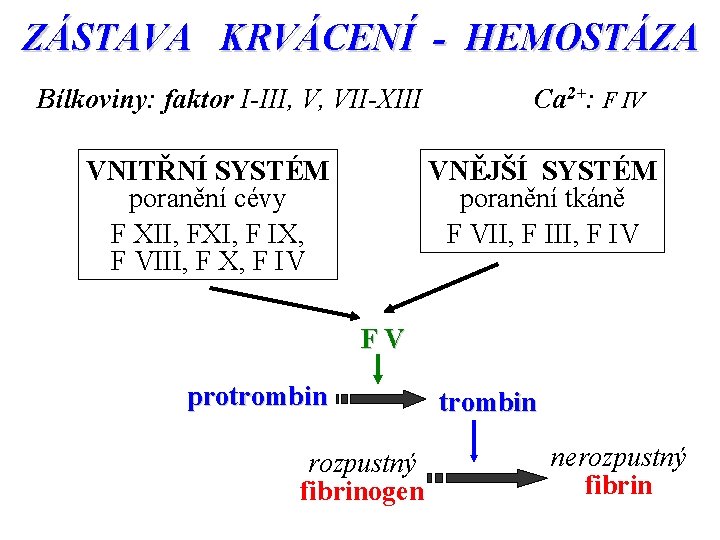 ZÁSTAVA KRVÁCENÍ - HEMOSTÁZA Bílkoviny: faktor I-III, V, VII-XIII VNITŘNÍ SYSTÉM poranění cévy F
