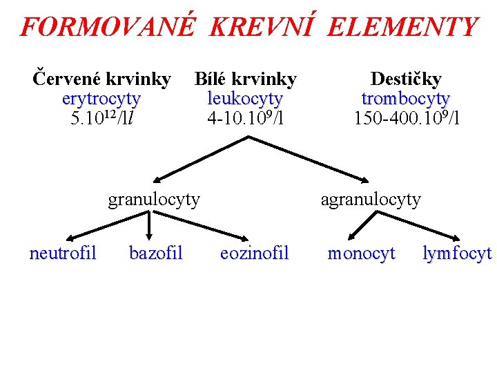 FORMOVANÉ KREVNÍ ELEMENTY Červené krvinky erytrocyty 5. 1012/ll Bílé krvinky leukocyty 4 -10. 109/l