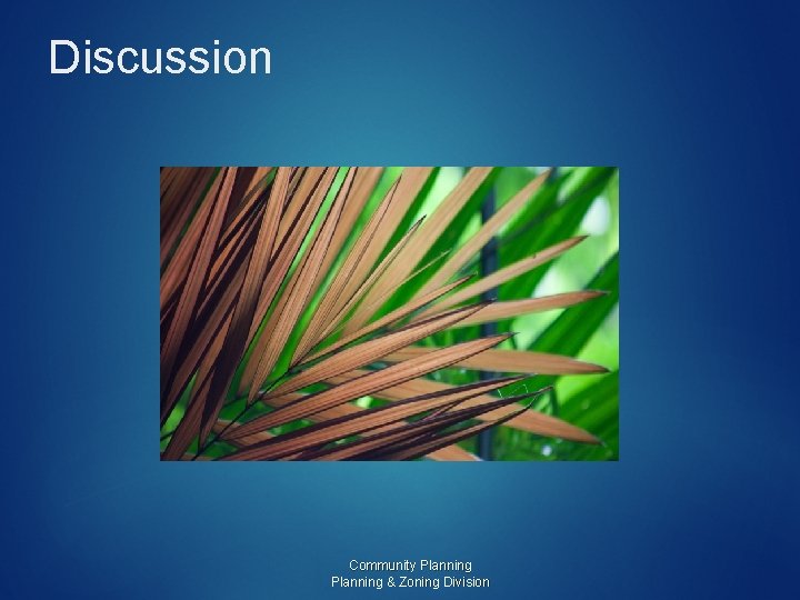 Discussion Community Planning & Zoning Division Discussion Community Planning & Zoning Division