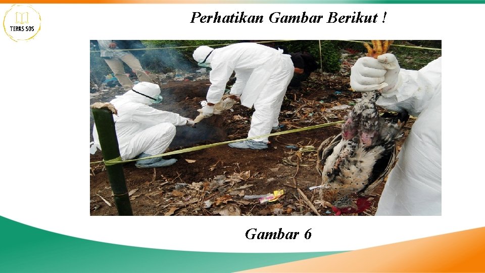 Perhatikan Gambar Berikut ! Gambar 6 