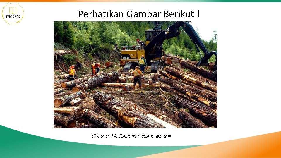 Perhatikan Gambar Berikut ! Gambar 19. Sumber: tribunnews. com 