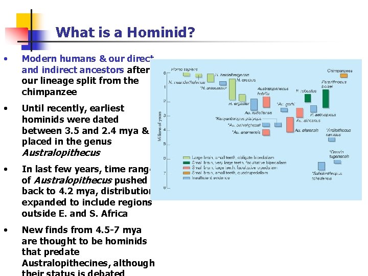 What is a Hominid? • Modern humans & our direct and indirect ancestors after