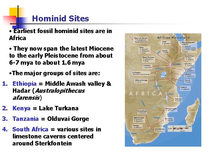 Hominid Sites • Earliest fossil hominid sites are in Africa • They now span