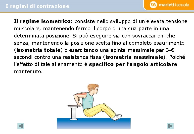 I regimi di contrazione Il regime isometrico: consiste nello sviluppo di un’elevata tensione muscolare,