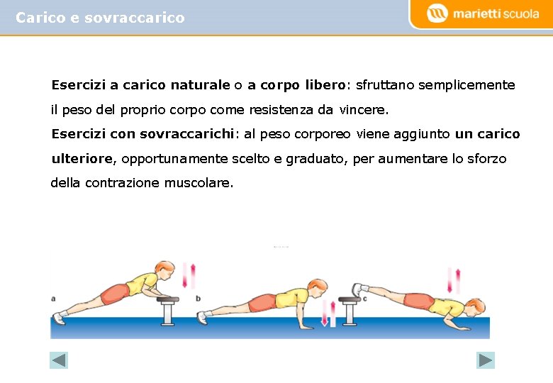 Carico e sovraccarico Esercizi a carico naturale o a corpo libero: sfruttano semplicemente il