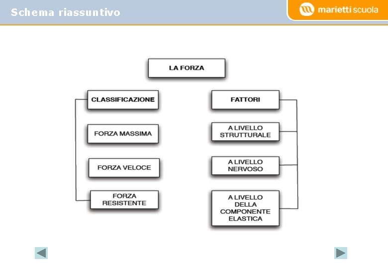 Schema riassuntivo 