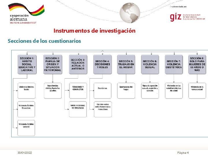 Instrumentos de investigación Secciones de los cuestionarios 30/01/2022 Página 4 