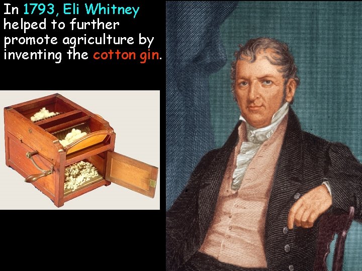 In 1793, Eli Whitney helped to further promote agriculture by inventing the cotton gin.