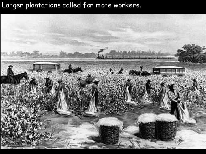 Larger plantations called for more workers. 