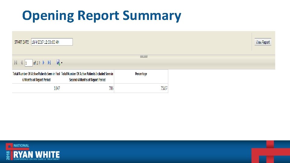 Opening Report Summary 