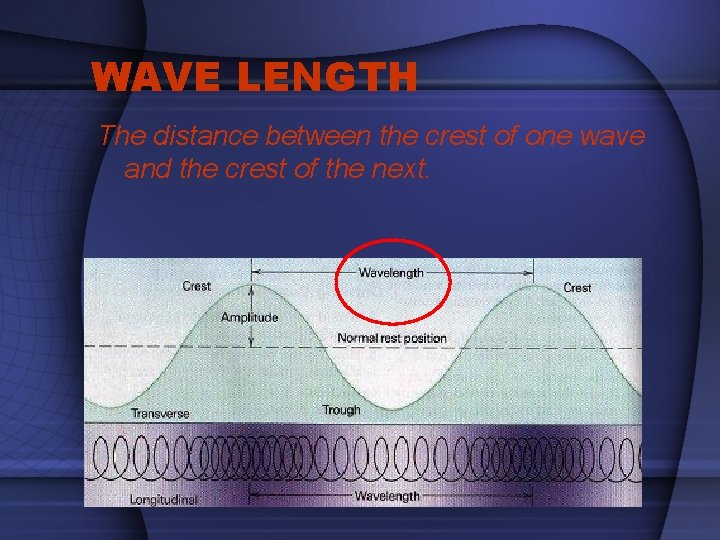 WAVE LENGTH The distance between the crest of one wave and the crest of