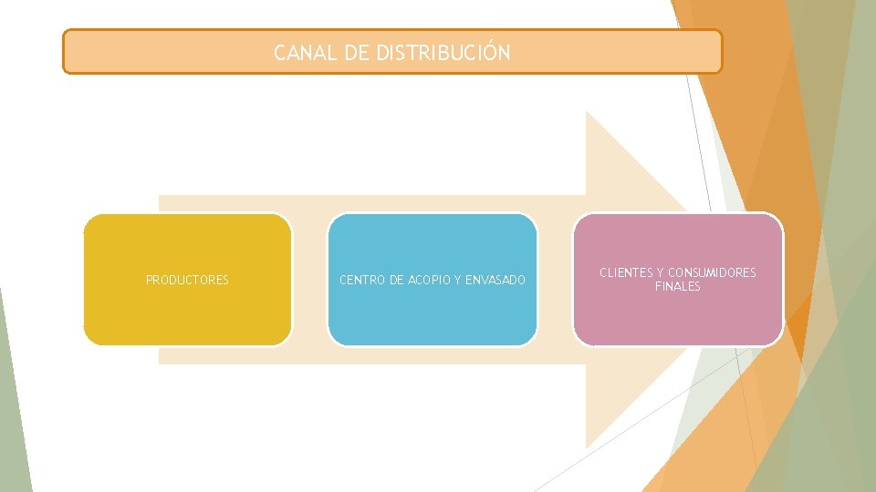 CANAL DE DISTRIBUCIÓN PRODUCTORES CENTRO DE ACOPIO Y ENVASADO CLIENTES Y CONSUMIDORES FINALES 