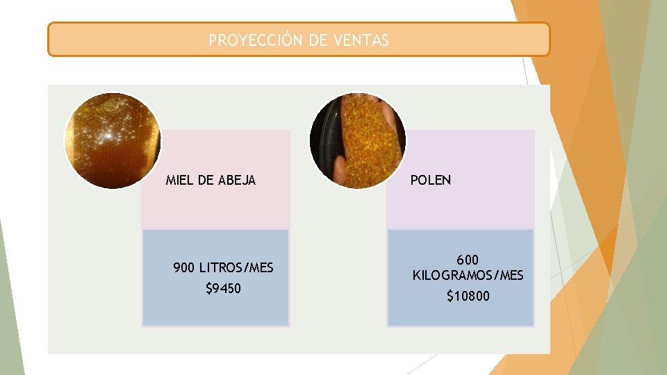 PROYECCIÓN DE VENTAS MIEL DE ABEJA 900 LITROS/MES $9450 POLEN 600 KILOGRAMOS/MES $10800 