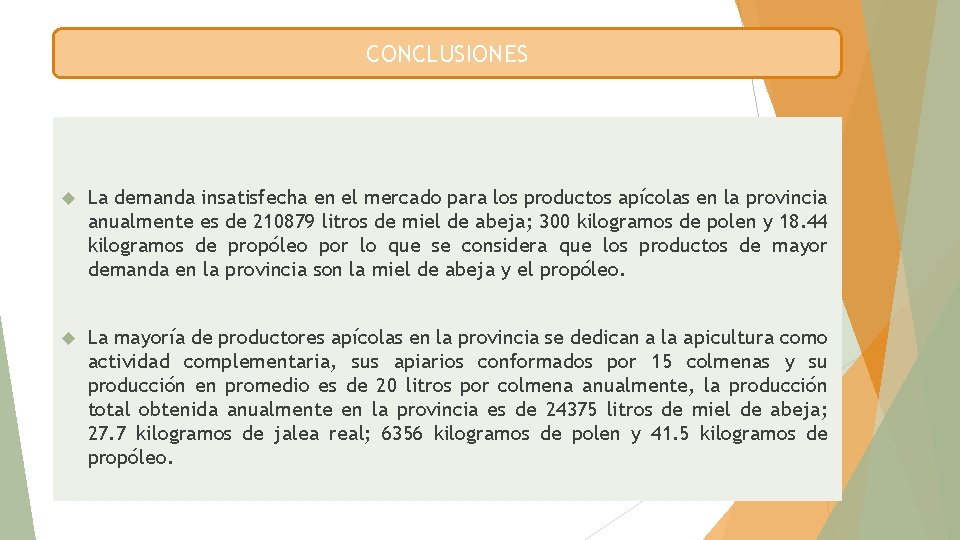 CONCLUSIONES La demanda insatisfecha en el mercado para los productos apícolas en la provincia