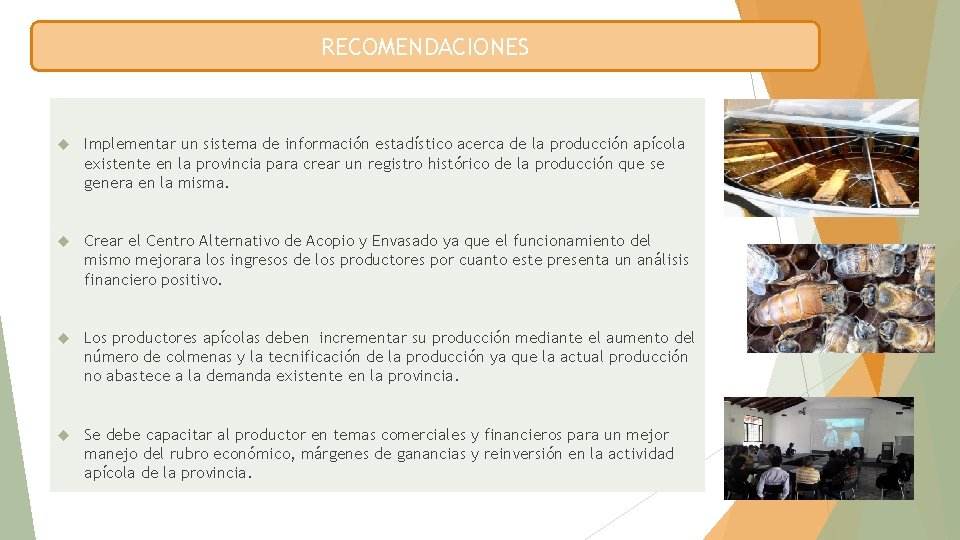 RECOMENDACIONES Implementar un sistema de información estadístico acerca de la producción apícola existente en