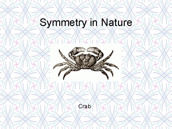 Symmetry in Nature Crab 