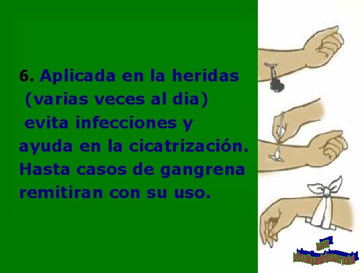 6. Aplicada en la heridas (varias veces al dia) evita infecciones y ayuda en