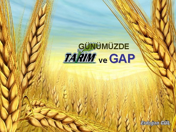 GÜNÜMÜZDE ve GAP 