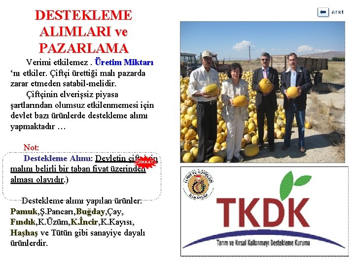 DESTEKLEME ALIMLARI ve PAZARLAMA Verimi etkilemez. Üretim Miktarı ‘nı etkiler. Çiftçi ürettiği malı pazarda