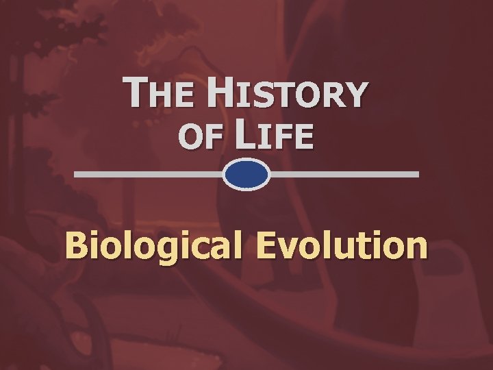 THE HISTORY OF LIFE Biological Evolution 