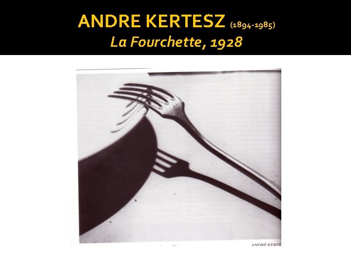 ANDRE KERTESZ (1894 -1985) La Fourchette, 1928 